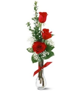 Roses in flute vase