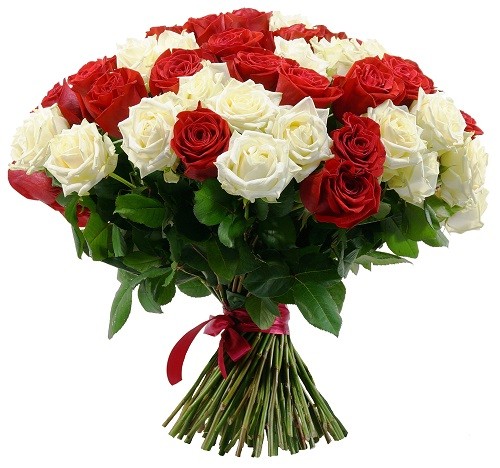 50 Long Red & White Rose Vase Arrangement