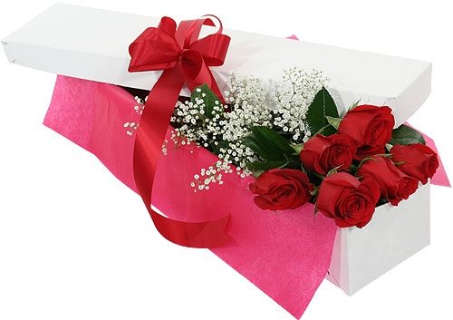 Six Red Roses In a white box with Baby's Breath