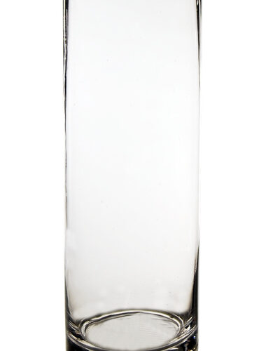 Clear Glass 12 Inch Cylinder Vase