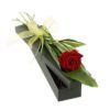Single Red Rose on a Black Box