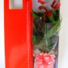Potted Anthurium boxed.1