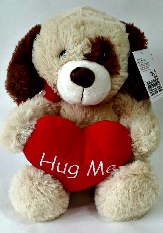 hug me teddy