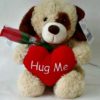 Teddy Bear Holding a Red Rose