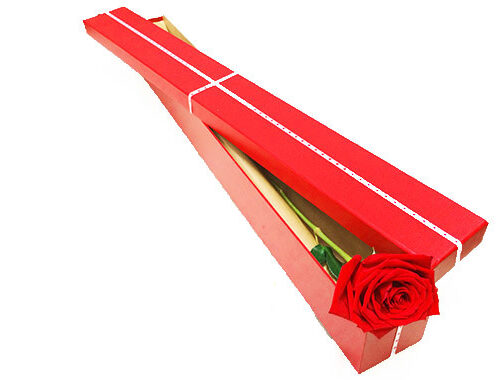 Single Stem Rose In a Box