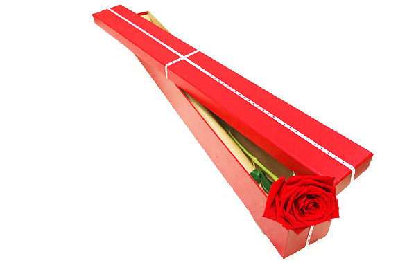 Single Stem Rose In a Box