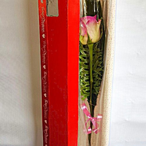 Single Pink Rose in a Box