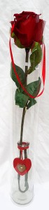 Single Rose Flower in a Bottle In Carry Bag