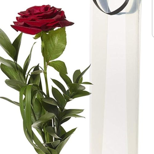 Single Rose in Bag with Pendant Vase