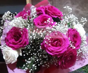 Pink Roses with gypso