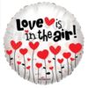 Round Love is In the Air Foil Balloon