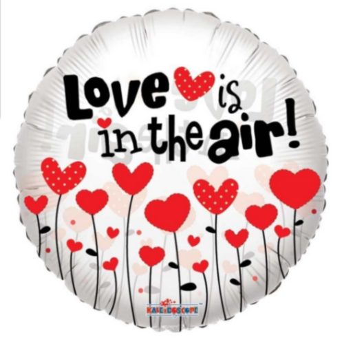 Love Is In the Air Balloon