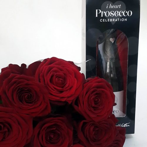 Roses and Wine Gift- Cheers