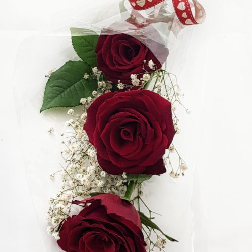 3 Red Roses Wrapped in Cellophane