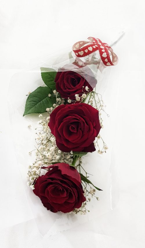 3 Red Roses Wrapped in Cellophane