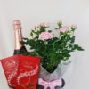 Rose Plant,Wine and Chocolate Gift Set