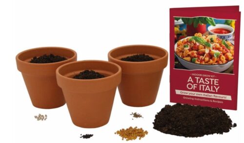 Three Terracotta Pots with grow kits box