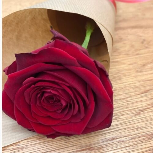 Valentine Single Rose