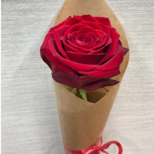 Valentine Single Rose