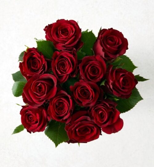Valentine Red Roses -Dozen 12 Red Roses