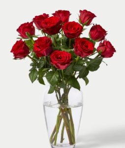 Dozen Red Roses In a vase